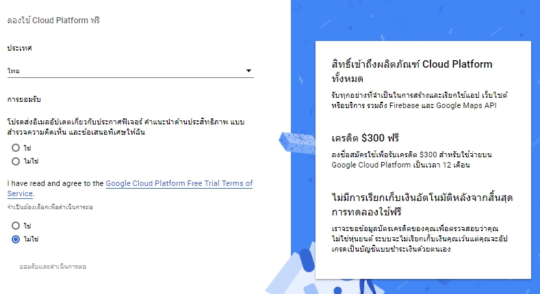 google map api