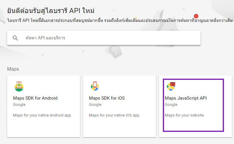 google map